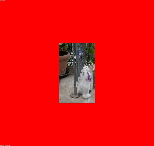 KgCjWDDv